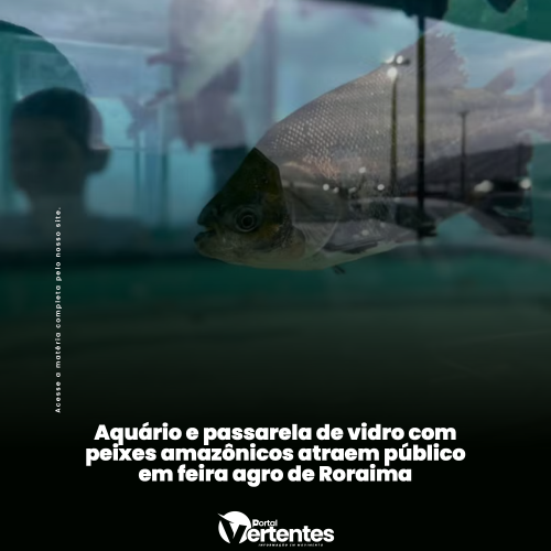 Aquário e passarela de vidro com peixes amazônicos atraem público em feira agro de Roraima