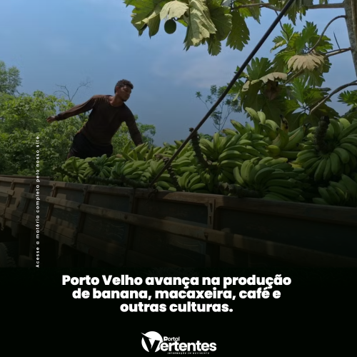 Porto Velho avança na produção de banana, macaxeira, café e outras culturas